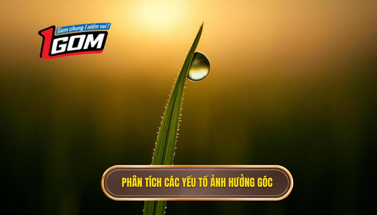 Phân Tích Chuyên Sâu Các Yếu Tố Ảnh Hưởng Đến Số Lượng Góc Hiệp 1